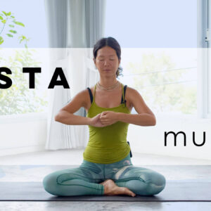 Hasta Mudras (16 videos + lesson slides)